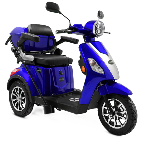 E-Trike 25 - Bleigel