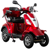 E-Quad 25 - Bleigel