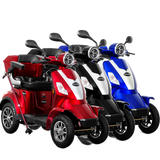 E-Quad 25 - Bleigel