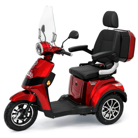 E-Trike 25 Premium - Bleigel